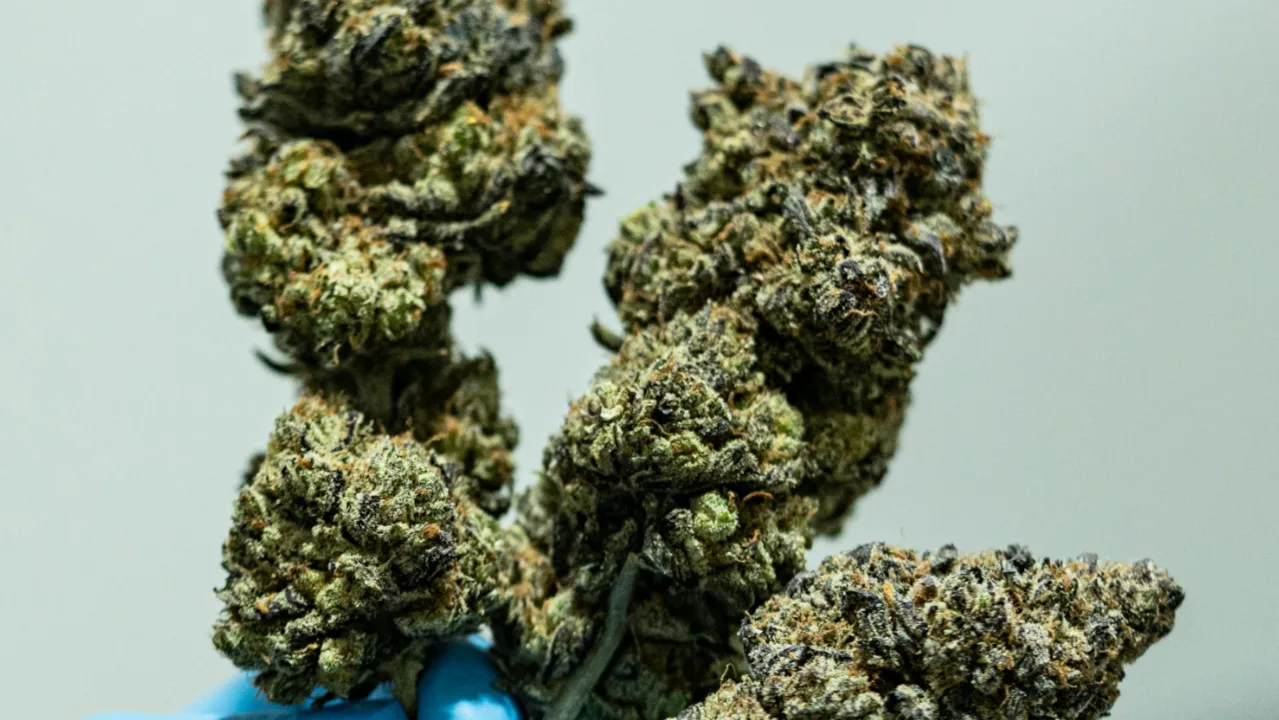 Possession of Marijuana defense attorney Philadelphia